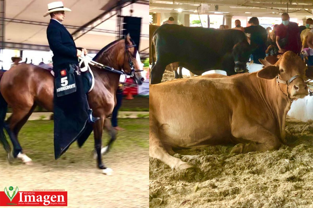 VIVE LOS ÙLTIMOS DÌAS DE LA FERIA DE BUGA