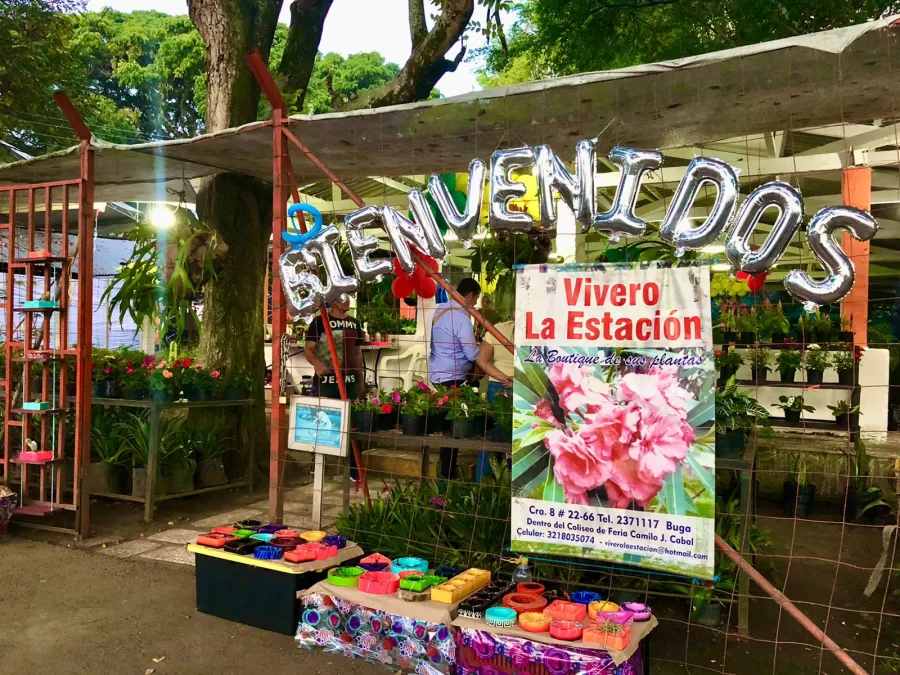 VIVE LOS ÙLTIMOS DÌAS DE LA FERIA DE BUGA VIVE LOS ÙLTIMOS DÌAS DE LA FERIA DE BUGA