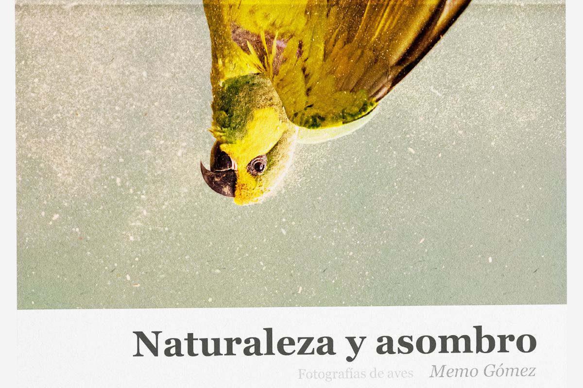 NATURALEZA Y ASOMBRO EN TU HOGAR