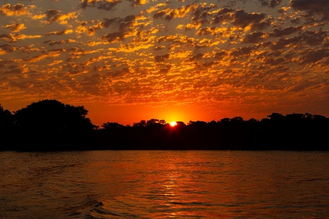 Descubriendo la Esencia del Turismo en el Amazonas: Explorando la Selva Amazónica y sus Encantos Exóticos Inigualable del Amazonas