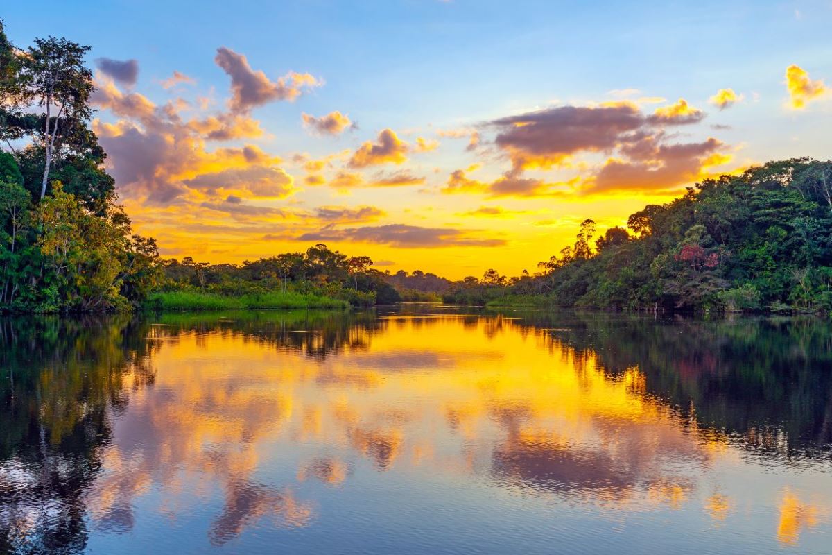 Descubriendo la Esencia del Turismo en el Amazonas