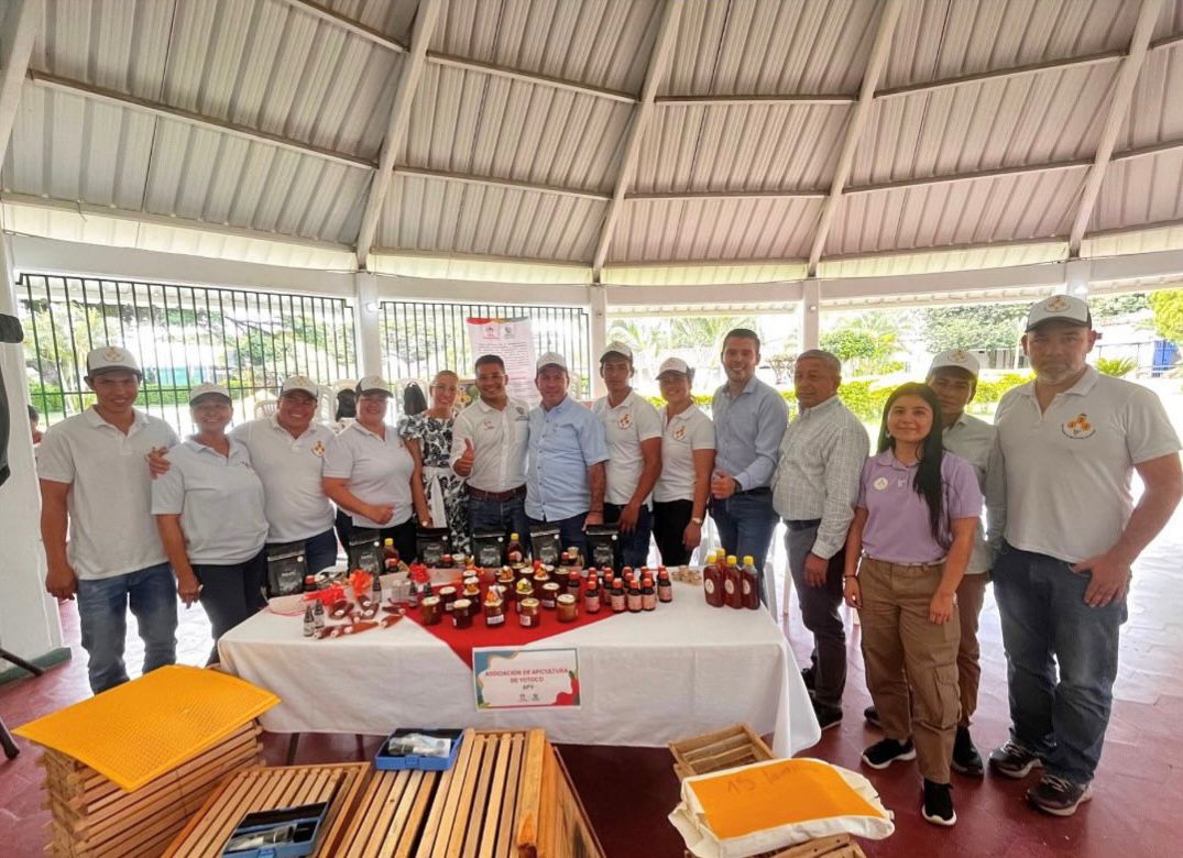 Apoyo a la agricultura y la seguridad alimentaria: 33 Familias de Yotoco fortalecidas.
