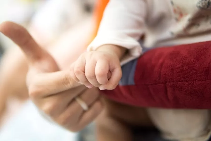 Adopción