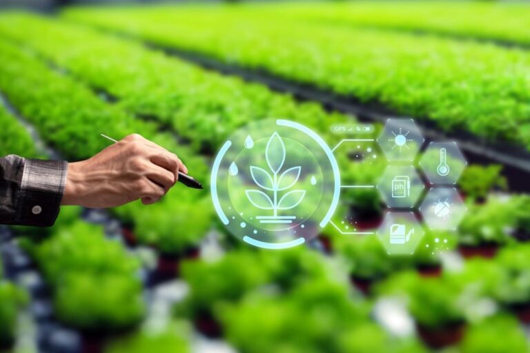 Agricultura Sostenible, la mejor manera de cultivar un futuro responsable Agricultura Sostenible