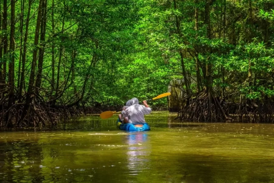 Ecosistemas Acuáticos en el Amazonas
