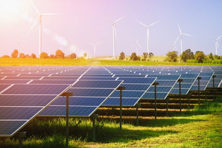 Empresas en América Latina marcando la ruta hacia un futuro Empresas en América Latina marcando la ruta hacia un futuro