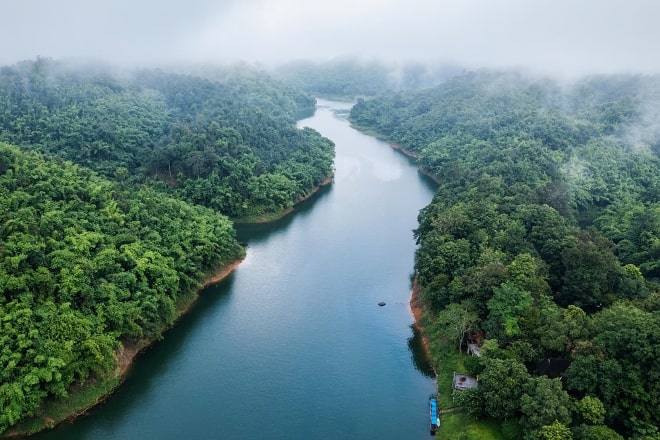 Explorando la diversidad de los ecosistemas del Amazonas, un tesoro natural inigualable ecosistemas del Amazonas