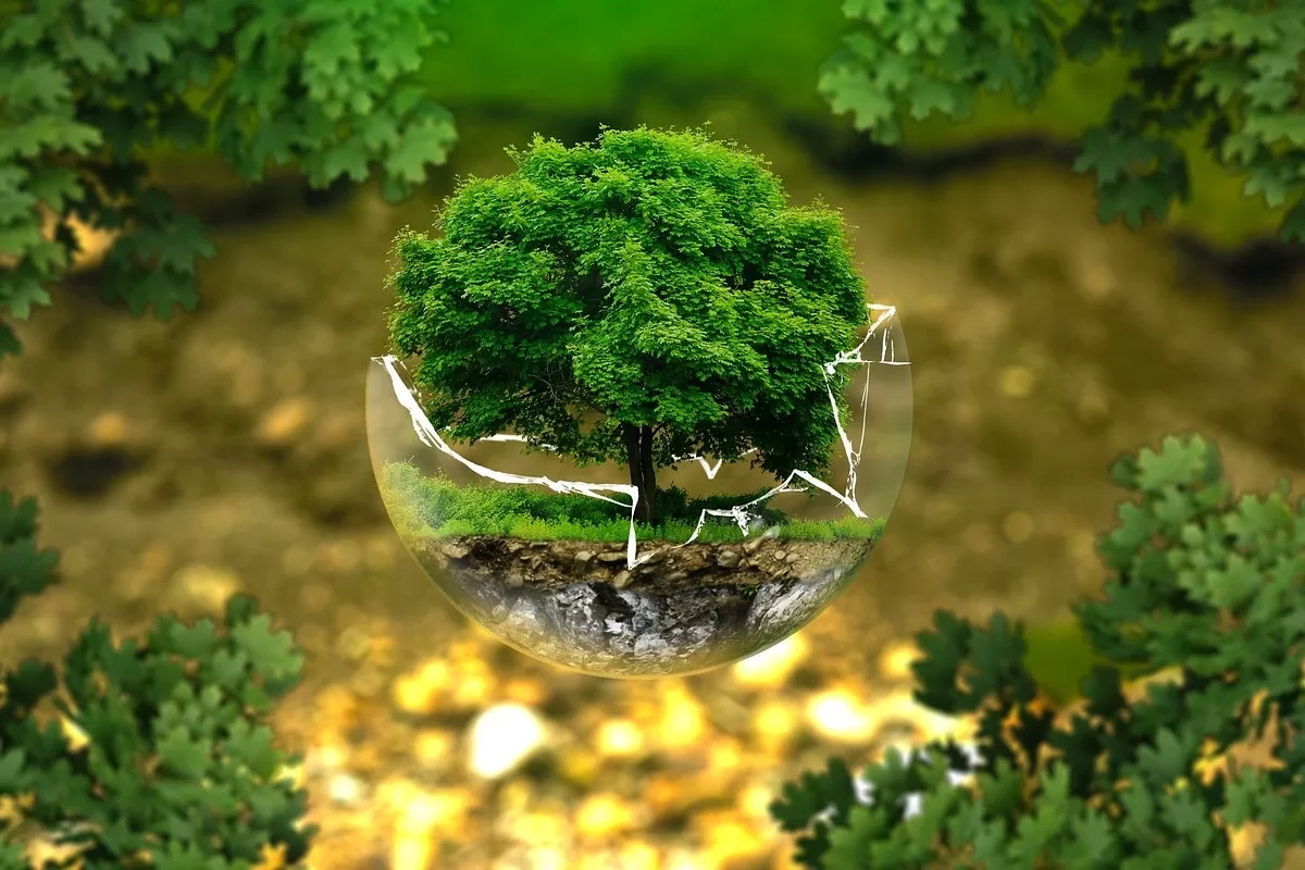 ¡Colombia, Epicentro Mundial de la convención más importante sobre Biodiversidad y Cambio Climático! COP16