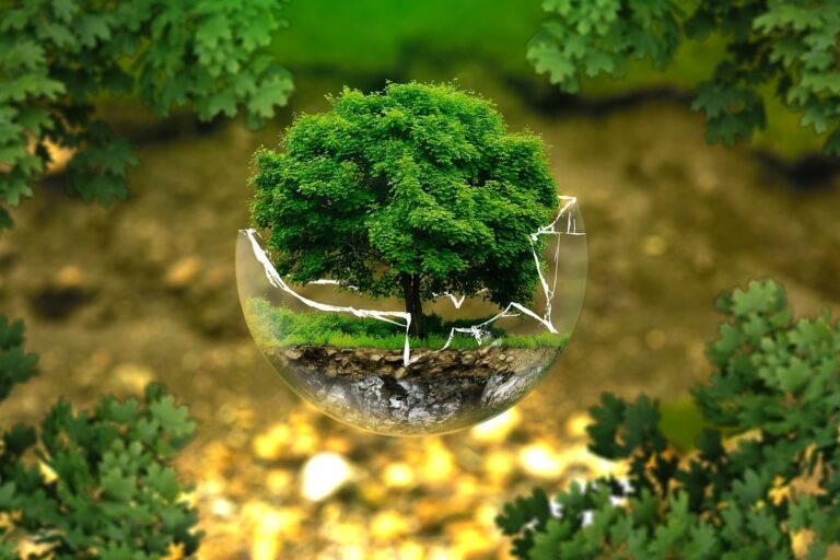 ¡Colombia, Epicentro Mundial de la convención más importante sobre Biodiversidad y Cambio Climático! COP16