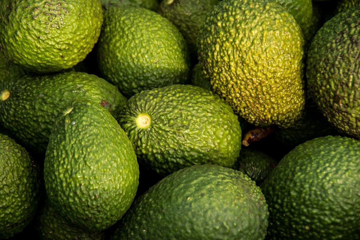 Aguacate