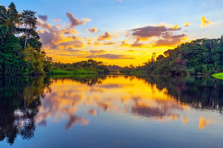 Explorando la Majestuosa Selva del Amazonas: Aventuras y Actividades Inolvidables Explorando la Majestuosa Selva del Amazonas