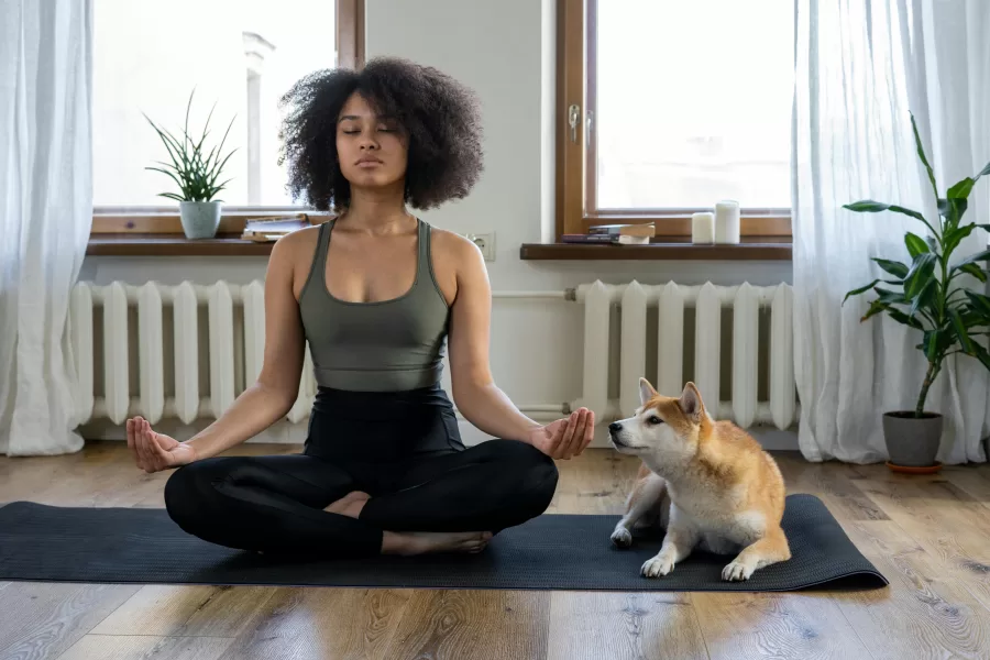Meditar