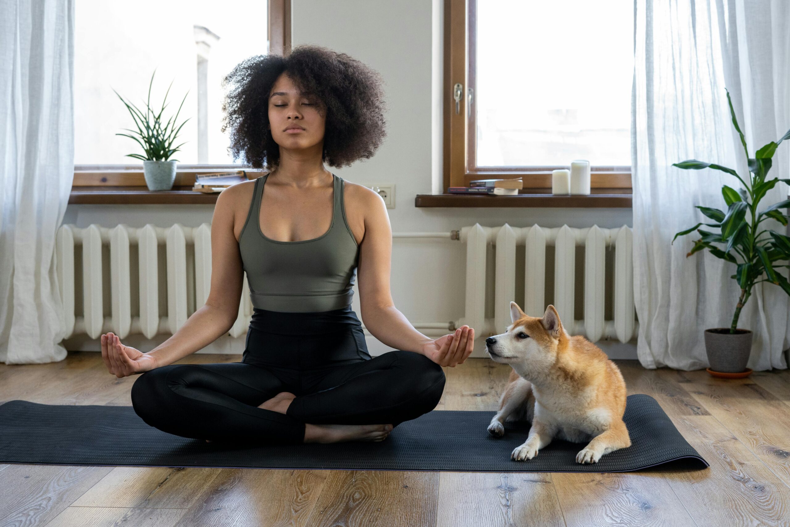 Meditar