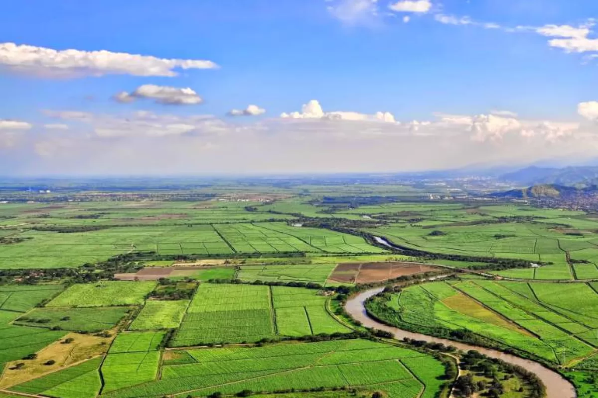 Valle del Cauca