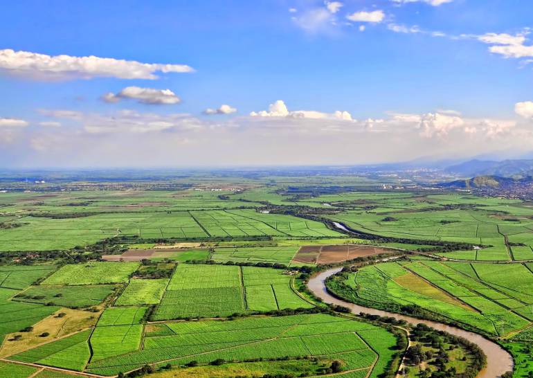 Valle del Cauca