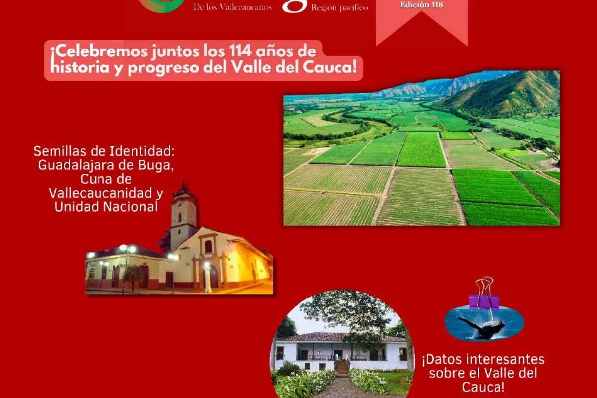Revista imagen del valle edición digital número 116
