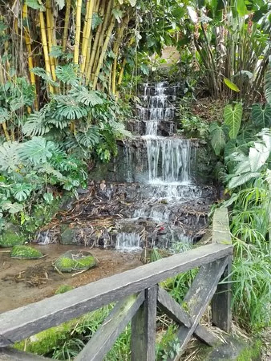 Turismo Sostenible en el Valle del Cauca
