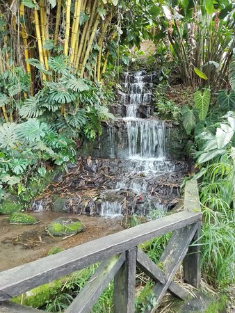 Turismo Sostenible en el Valle del Cauca