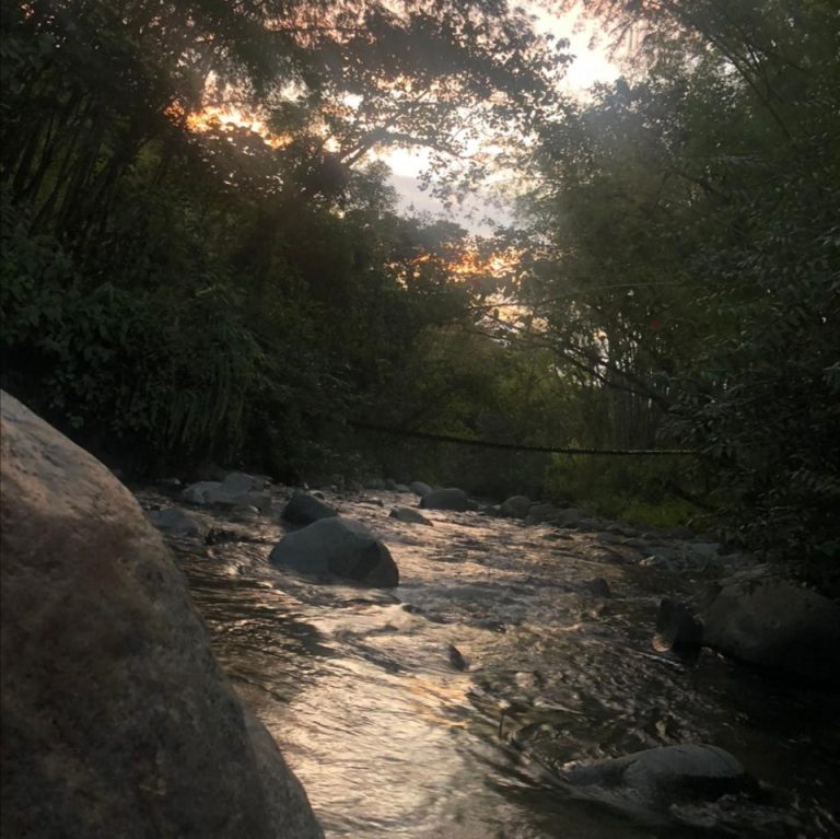 Agua Contaminada, Vidas en Riesgo: La Mortalidad de Peces que Desnuda la Crisis Ambiental en Buga Foto de Karime Loaiza