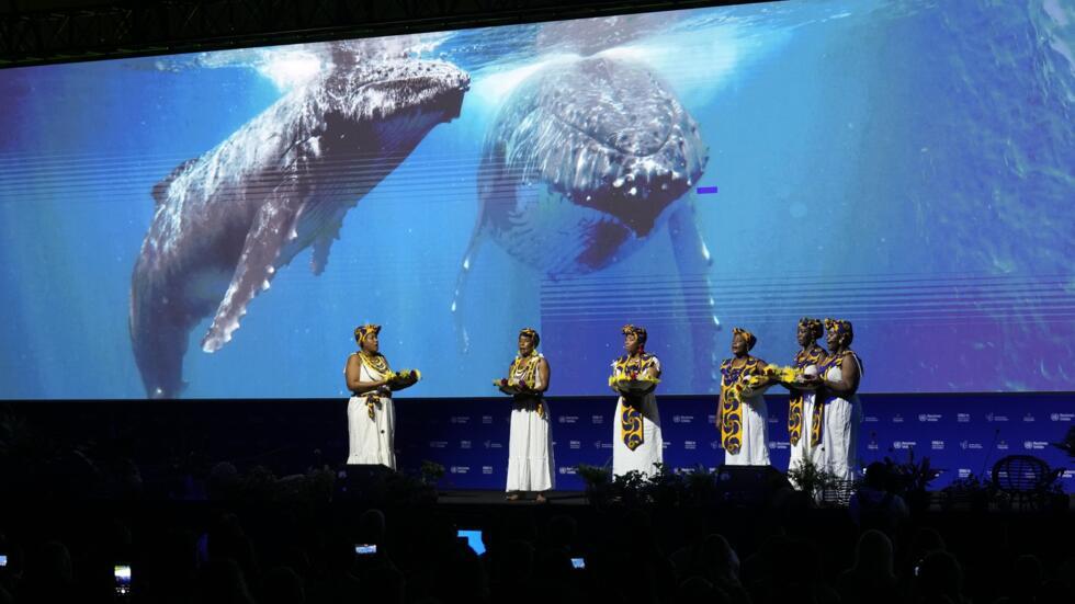 COP16