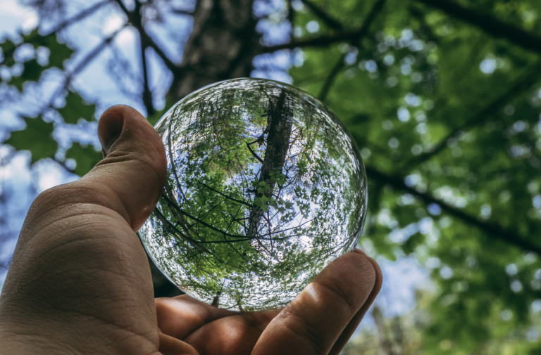 Vida sin Plástico: Pequeñas Acciones para un Gran Cambio Vida sin Plástico: Pequeñas Acciones para un Gran Cambio