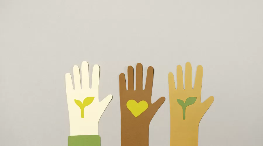 Vida sin Plástico: Pequeñas Acciones para un Gran Cambio