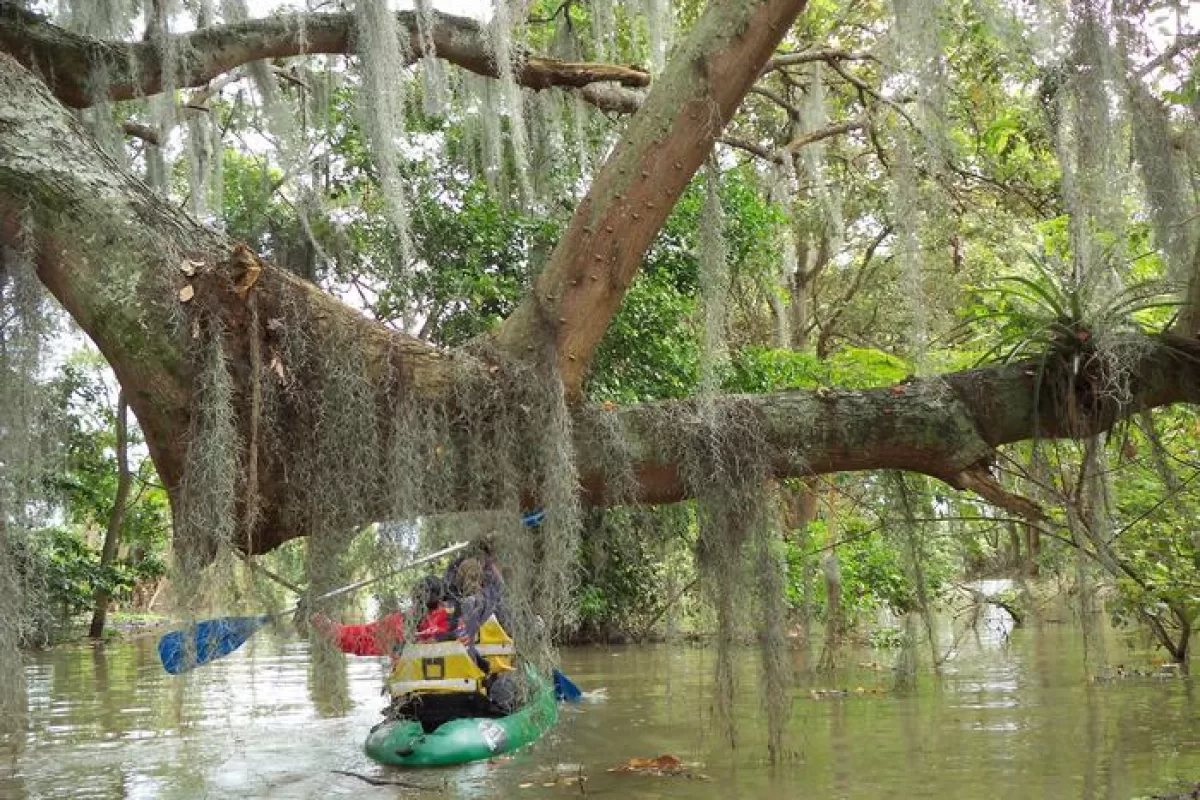 Protegiendo la Laguna de Sonso: Entrevista con Harold Moreno sobre Conservación Ambiental Laguna de Sonso
