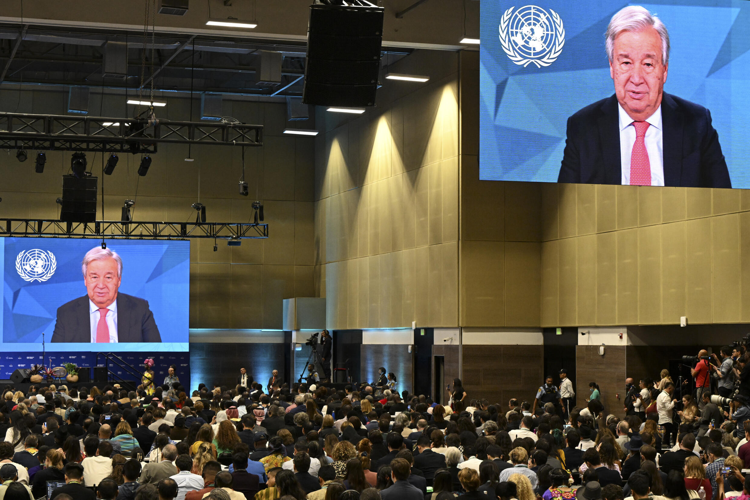 COP16: La Cuenta Regresiva para Proteger la Biodiversidad COP16: La Cuenta Regresiva para Proteger la Biodiversidad