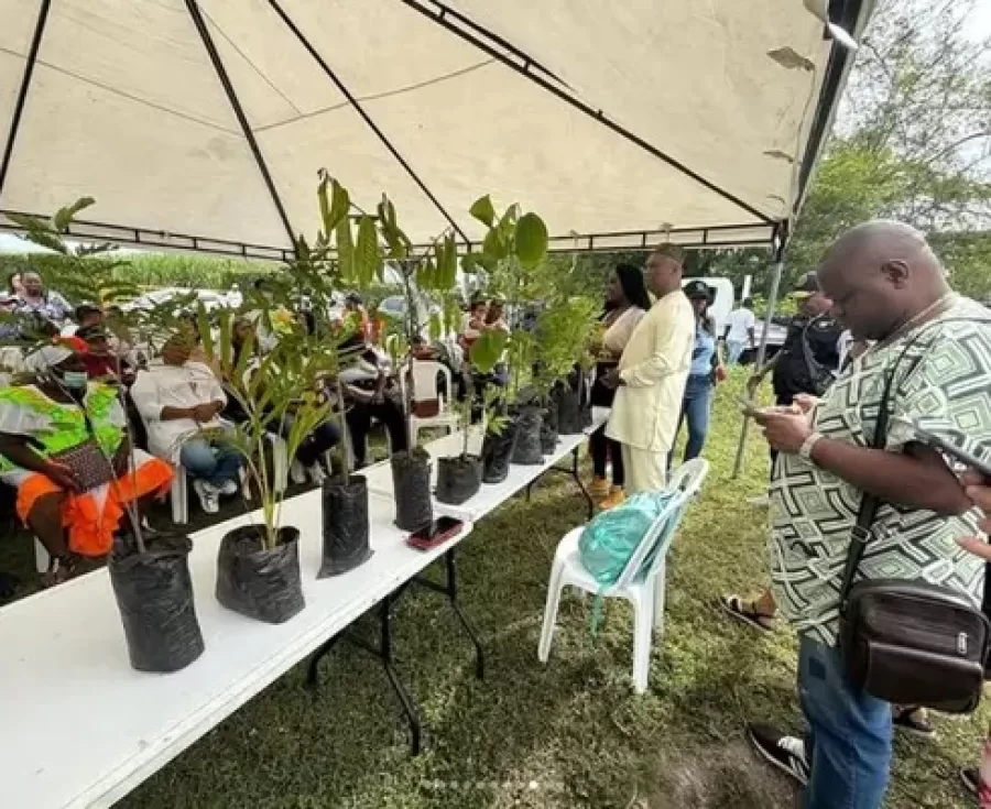 Alcaldía de Tuluá entrega 700 árboles en jornada de reforestación comunitarias
