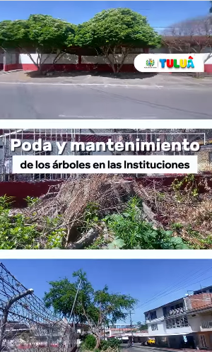 ¡Iniciamos poda y mantenimiento de árboles en Instituciones Eduvativas! ¡Iniciamos poda y mantenimiento de árboles en Instituciones Eduvativas!