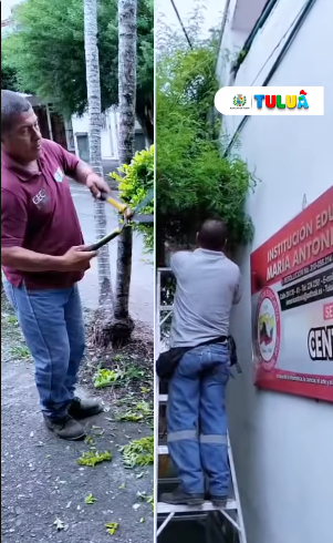 ¡Iniciamos poda y mantenimiento de árboles en Instituciones Eduvativas! ¡Iniciamos poda y mantenimiento de árboles en Instituciones Eduvativas!