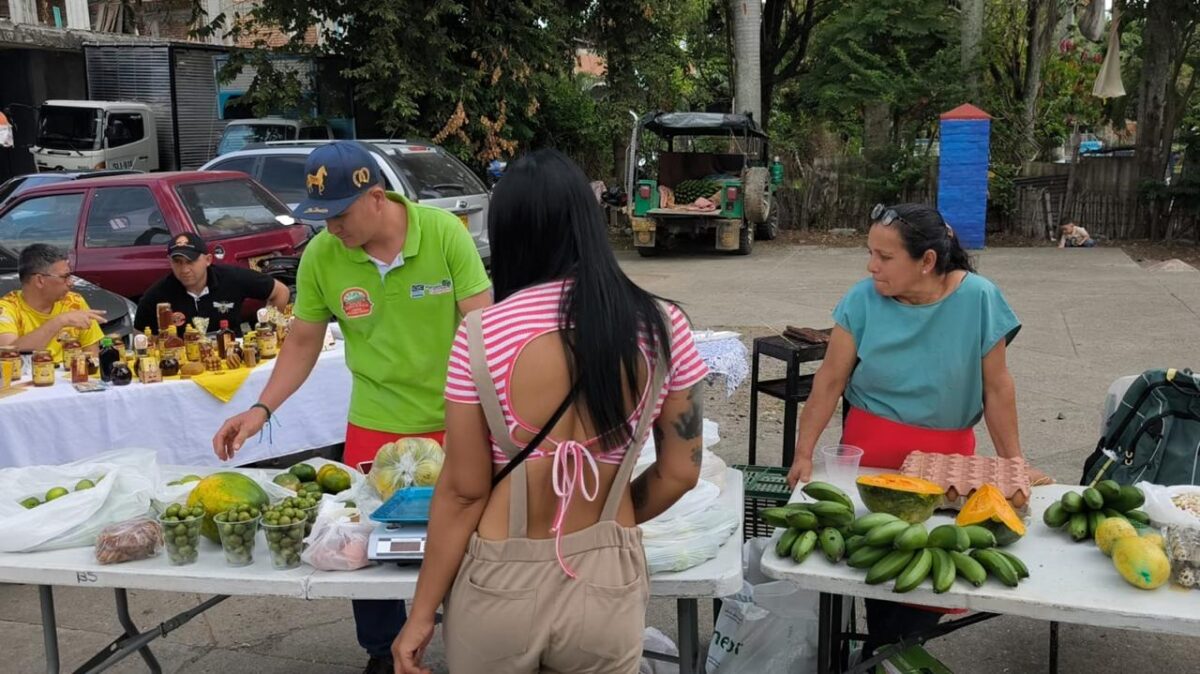 Mercado Campesino llegó a Aguaclara para fortalecer la economía rural y acercar productos frescos a la comunidad Mercado Campesino llegó a Aguaclara para fortalecer la economía rural y acercar productos frescos a la comunidad