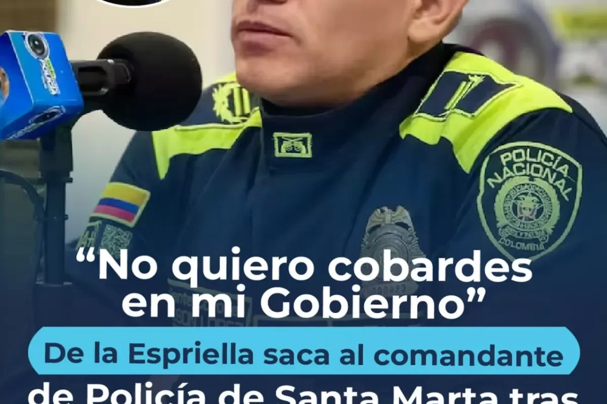 En Santa Marta el tigre Abelardo se enoja con el comandante de policía
